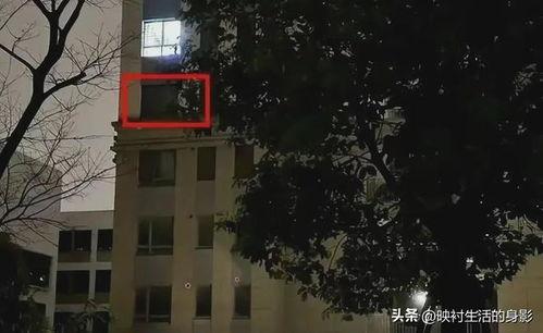 张江街头爆料案件最新,警方全力追查真相  第3张 张江街头爆料案件最新,警方全力追查真相  第3张