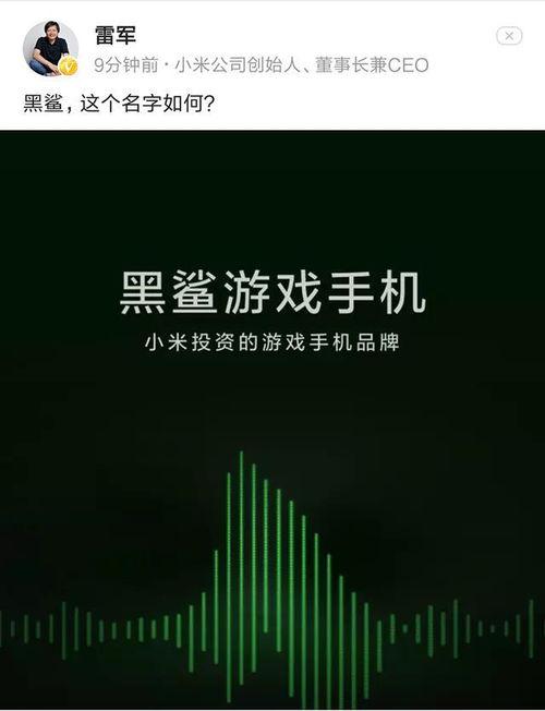 雷军爆料新手机最新消息,全新旗舰手机即将亮相，颠覆性技术引领行业潮流！”  第2张