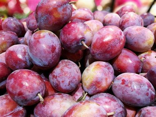 娱乐吃瓜少女西梅拿铁,娱乐吃瓜少女的趣味生活揭秘  第2张